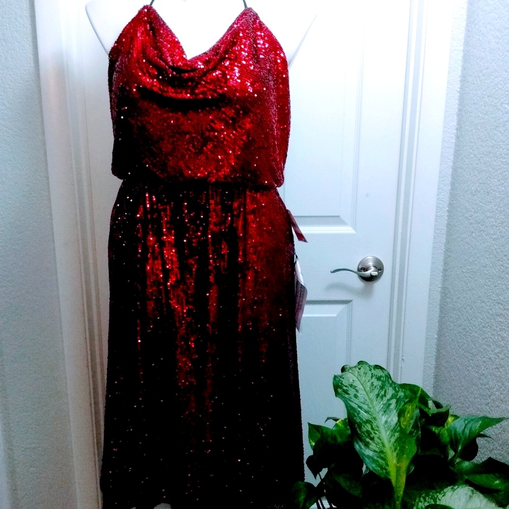 NWT Dress the Population Sequin Dress